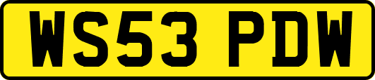 WS53PDW