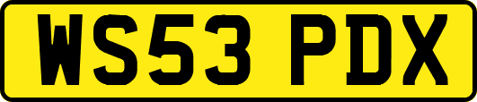 WS53PDX