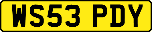 WS53PDY