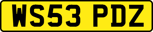 WS53PDZ