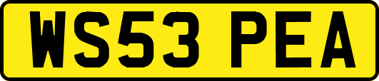 WS53PEA