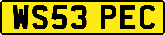 WS53PEC