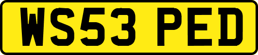 WS53PED