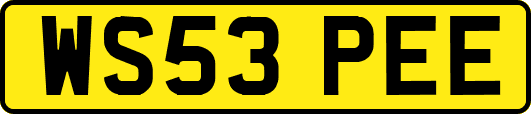 WS53PEE