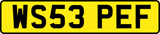 WS53PEF