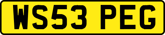 WS53PEG