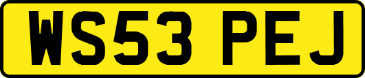 WS53PEJ