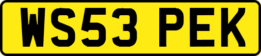 WS53PEK