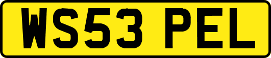 WS53PEL