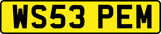 WS53PEM