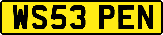WS53PEN