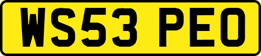 WS53PEO