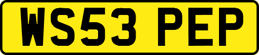 WS53PEP
