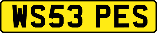 WS53PES