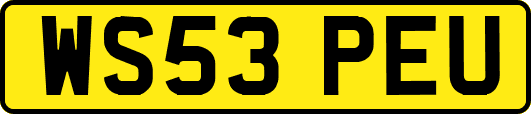 WS53PEU