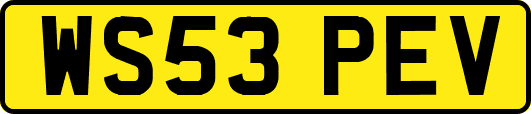 WS53PEV