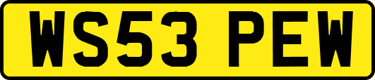 WS53PEW