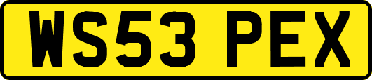 WS53PEX