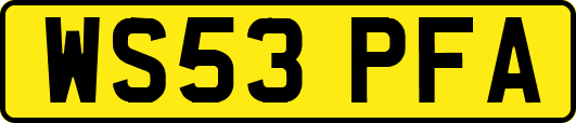 WS53PFA