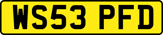 WS53PFD