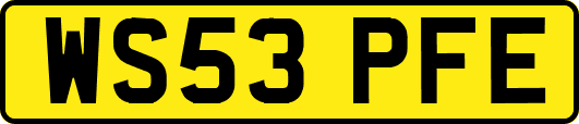 WS53PFE