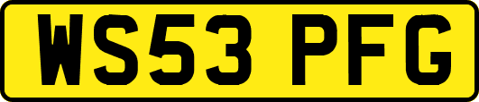 WS53PFG
