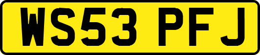 WS53PFJ