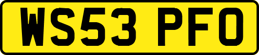 WS53PFO