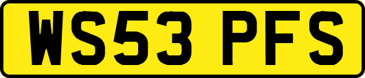 WS53PFS