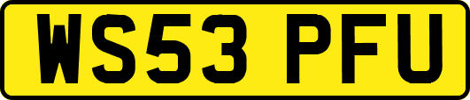 WS53PFU
