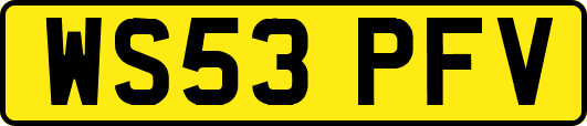 WS53PFV
