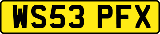 WS53PFX