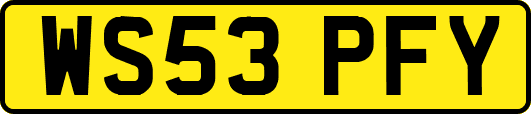 WS53PFY