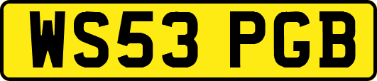 WS53PGB
