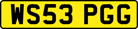 WS53PGG
