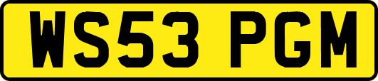 WS53PGM