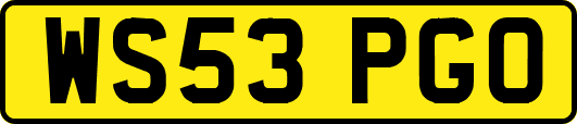 WS53PGO