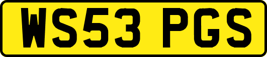 WS53PGS