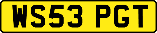 WS53PGT