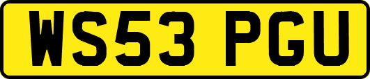 WS53PGU