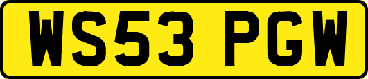 WS53PGW