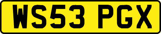WS53PGX