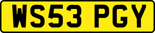 WS53PGY