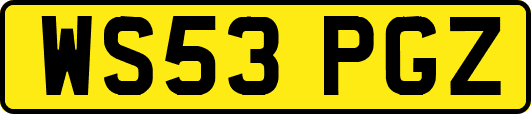 WS53PGZ