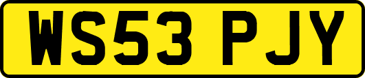 WS53PJY