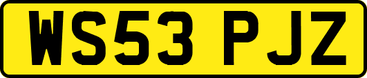 WS53PJZ