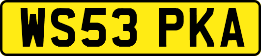 WS53PKA