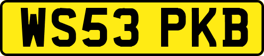 WS53PKB