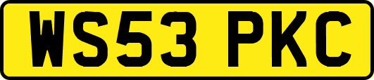 WS53PKC