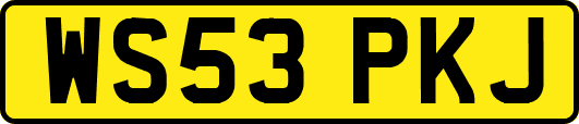 WS53PKJ